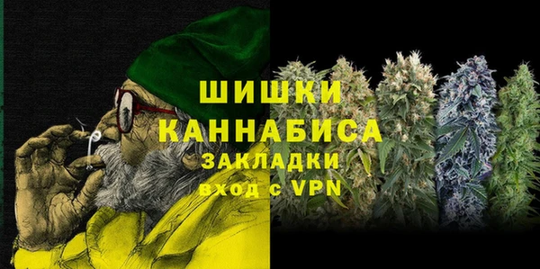 стафф Алзамай