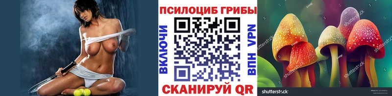 Псилоцибиновые грибы Psilocybine cubensis Топки