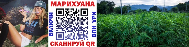 как найти наркотики  Топки  МАРИХУАНА White Widow 